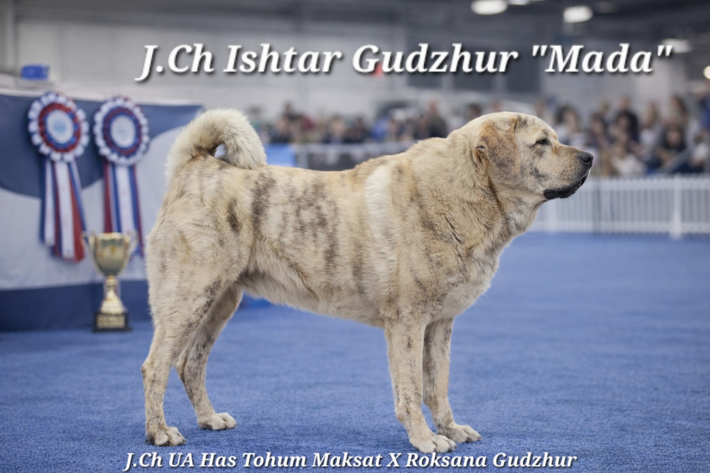 Ishtar Gudzhur
